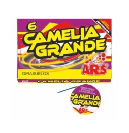 CAMELIA GRANDE (6)
