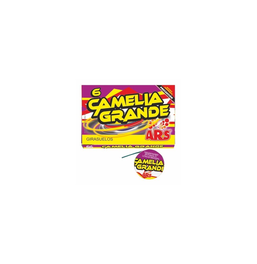 CAMELIA GRANDE (6)